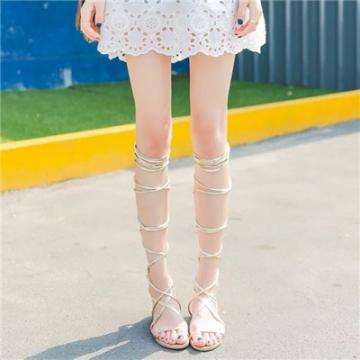 彩神app下载-登录入口